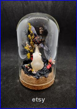 Diorama entomologique et de taxidermie, décoration pour cabinet de curiosités, gothique, sorcière, crâne de pigeon et pachnoda iskuulka