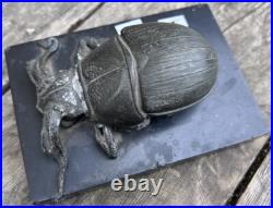 Encrier Scarabée Ancien XIXeme Napoléon III Taxidermie
