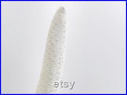 Etoile de mer, coquillage, grande étoile de mer, étoile de mer blanche, décoration plage, coquillage blanc, cabinet de curiosité, boho