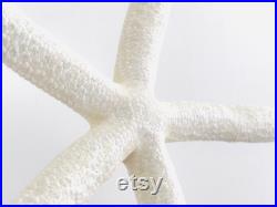 Etoile de mer, coquillage, grande étoile de mer, étoile de mer blanche, décoration plage, coquillage blanc, cabinet de curiosité, boho