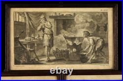Étonnante série de 3 gravures anciennes thème taxidermie / Cabinet de curiosités