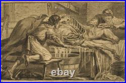 Étonnante série de 3 gravures anciennes thème taxidermie / Cabinet de curiosités