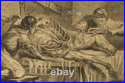 Étonnante série de 3 gravures anciennes thème taxidermie / Cabinet de curiosités