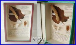 Evolution of the Silkworm France, circa 1940