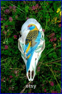 Exceptionnel couple de crânes de chevreuils peints à la main à la peinture acrylique motif oiseaux inséparables