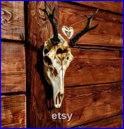 FAIT À L ORDRE . Crâne de cerf réel sculpté avec le collier Ensemble cadeau Collier de loup, coeur, crâne sculpté rare et unique,Trinity noeud Présent