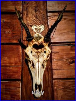 FAIT À L ORDRE . Crâne de cerf réel sculpté avec le collier Ensemble cadeau Collier de loup, coeur, crâne sculpté rare et unique,Trinity noeud Présent