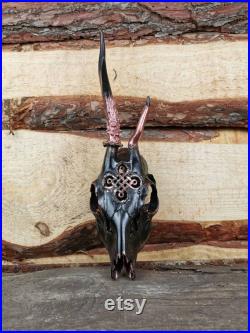 FAIT À L ORDRE Pour la vente Crâne de cerfs de Roe avec la conception gravée noeud celtique peint or véritable idée cadeau d os métallique noir mal réel Cooper