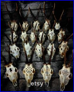 FAIT POUR COMMANDER Crâne de cerf roe gravé art énorme ornements impressionnants noeud celtique sculpture idée cadeau viking