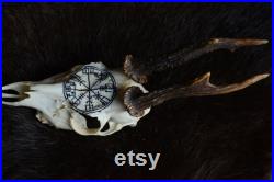 FAIT SUR COMMANDE Vrai crâne de cerf Crâne de cerf sculpté Crâne de chevreuil avec bois, cadeau parfait décoration intérieure crâne sculpture de vegvisir viking rune