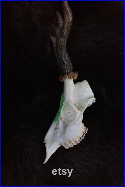 FAIT SUR COMMANDE Vrai crâne de cerf Crâne de cerf sculpté Crâne de chevreuil avec bois cadeau parfait décoration maison sculpture de crâne Rêve cadeau de rune viking