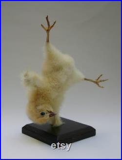 Fabriqué sur commande. Curiosité de taxidermie de poulet handstand par Casper s Creatures