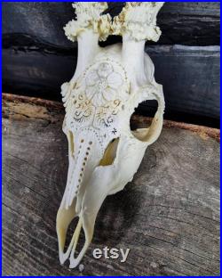 Fabriqué sur commande Real Roe deer crâne bois blancs gravés fleur de marguerite ornements impressionnants sculpture idée cadeau petite amie filigrane sculpture