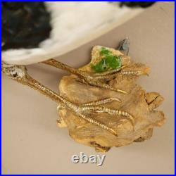 Faisan Diamant Préparé Oiseau Taxidermie 60cm Objet 90.272.9
