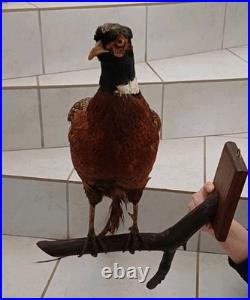 Faisan naturalisé (taxidermie)