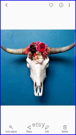 Fait sur commande. Real Long Horn Cow Skull -FREE SHIPPING- vérifier les détails
