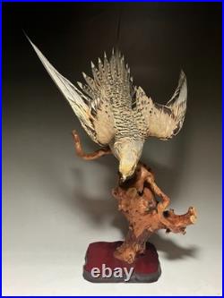 Farce, animaux, taxidermie du tétras des sables de Pallas (Syrrhaptes paradoxus)