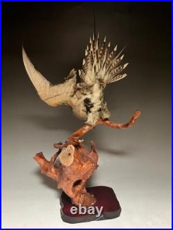 Farce, animaux, taxidermie du tétras des sables de Pallas (Syrrhaptes paradoxus)