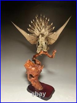 Farce, animaux, taxidermie du tétras des sables de Pallas (Syrrhaptes paradoxus)