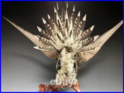 Farce, animaux, taxidermie du tétras des sables de Pallas (Syrrhaptes paradoxus)