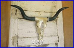Faux taxidermie Crâne de vache Longhorn, Crâne longhorn bijouté, Crâne de faux b uf