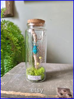 Fiole en verre eupholus
