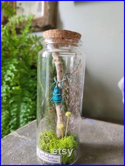 Fiole en verre eupholus