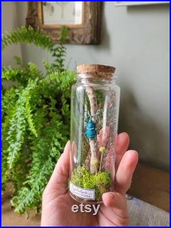 Fiole en verre eupholus