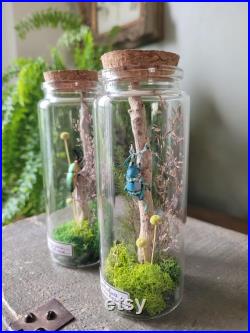 Fiole en verre eupholus