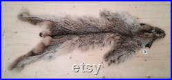 Fourrure de lynx sans les griffes, peau de lynx, Canada, Nord Américain, fourniture et produits taxidermie, Cuir, tannage, pelt