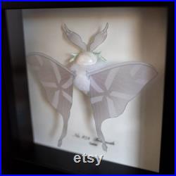 Frosmoth Pokémon Taxidermie Moth Encadré Mur Décor Curiosités Affichage Cadeau