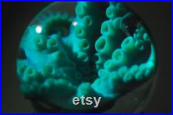 GLOBE Poulpe bleu, cthulhu, kraken. Spécimen humide, curiosité, bizarrerie, décor steampunk