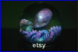 GLOBE Poulpe violet, cthulhu, kraken. Spécimen humide, curiosité, bizarrerie, décor steampunk