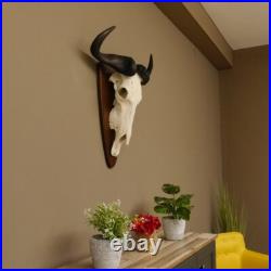 GNU Trophée De Crâne Largeur 58 cm Afrique Taxidermie Trophée