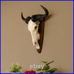 GNU Trophée De Crâne Largeur 58 cm Afrique Taxidermie Trophée