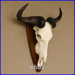 GNU Trophée De Crâne Largeur 58 cm Afrique Taxidermie Trophée