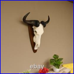 GNU Trophée De Crâne Largeur 58 cm Afrique Taxidermie Trophée GNU Trophée De Crâne Largeur 58 cm Afrique Taxidermie Trophée