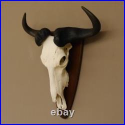 GNU Trophée De Crâne Largeur 58 cm Afrique Taxidermie Trophée