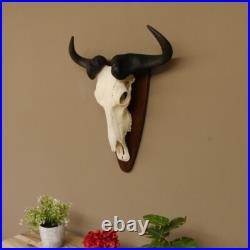 GNU Trophée De Crâne Largeur 58 cm Afrique Taxidermie Trophée