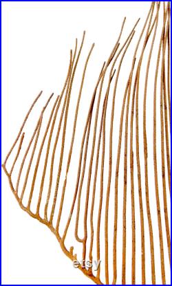 Gorgone lyre ctenocella pectinata sur pied Curiosité de la mer