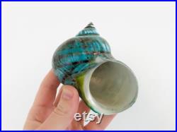 Grand coquillage naturel Turbo imperialis Coquillage vert Cabinet de curiosité, taxidermie Coquillage décoratif Décoration plage