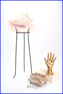 Grand coquillage naturel sur socle tripode en métal, années 50 cabinet de curiosités, vintage, décoration d'intérieur, salle de bain