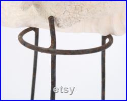 Grand coquillage naturel sur socle tripode en métal, années 50 cabinet de curiosités, vintage, décoration d'intérieur, salle de bain