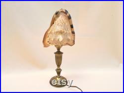 Grande Lampe veilleuse coquillage Conque Cassis Cornuta sur socle doré Pièce Unique fran aise coquille vintage cabinet de curiosités casque