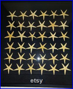 Histoire naturelle cadre avec étoiles de mer archaster typicus 50 X 50 cm