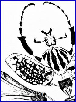 Illustration goliathus goliathus meleagris