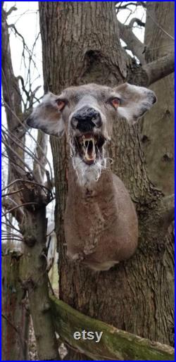 L un d un genre Beast Demon Rouge Taxidermy whitetail deer doe zombie créature taxidermy monter spécimen curiosités freakshow albinos