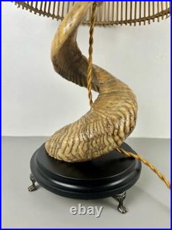 Lampe Corne de Bélier. Cabinet de Curiosités. Taxidermie Vintage