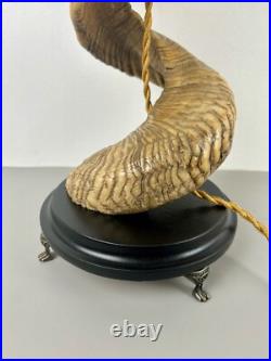 Lampe Corne de Bélier. Cabinet de Curiosités. Taxidermie Vintage