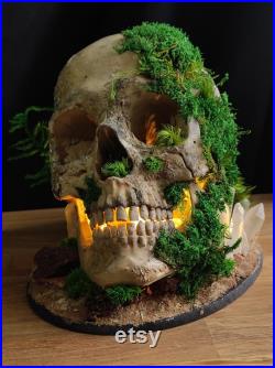 Lampe gothique crâne humain végétalisé tête de mort LED Fait Main Déco gothique, Cabinet de curiosités, Dark Fantasy Lampe gothique crâne humain végétalisé tête de mort LED Fait Main Déco gothique, Cabinet de curiosités, Dark Fantasy